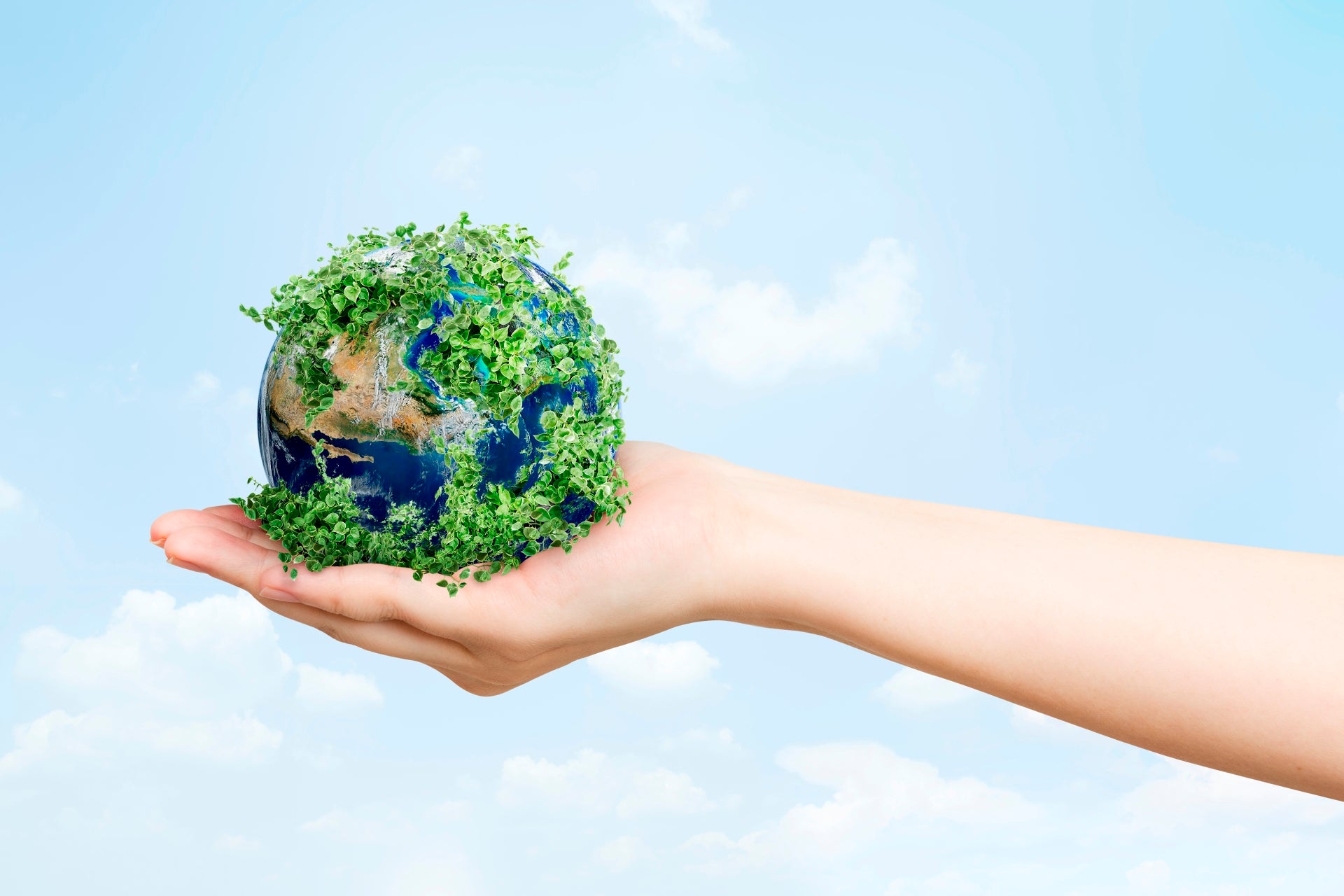 Think Green, Baby! Πως να επιλέξεις οικολογικά καλλυντικά